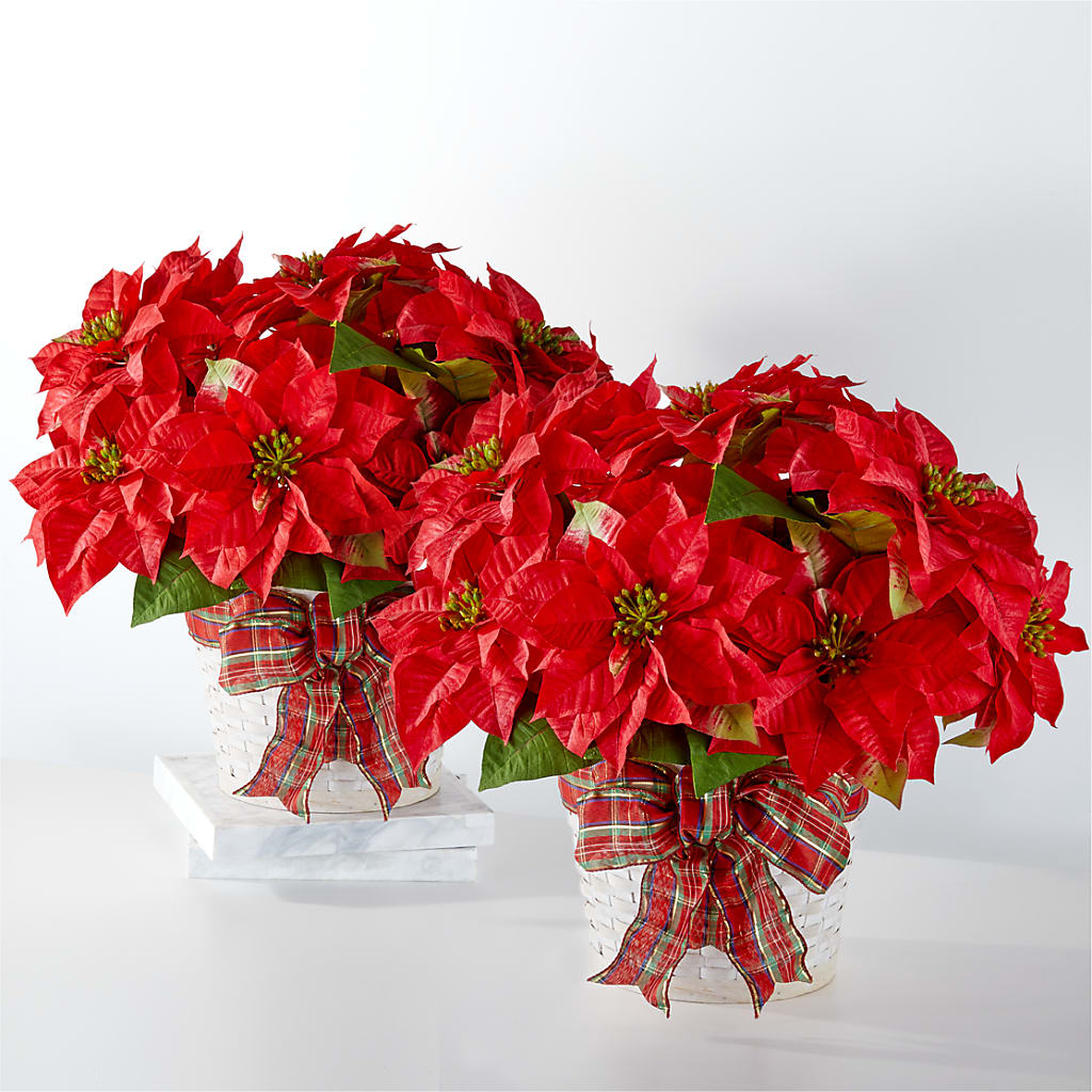 Happiest Holidays Poinsettia Bundle – ETHEL'S THIS AND THAT, Galeton PA