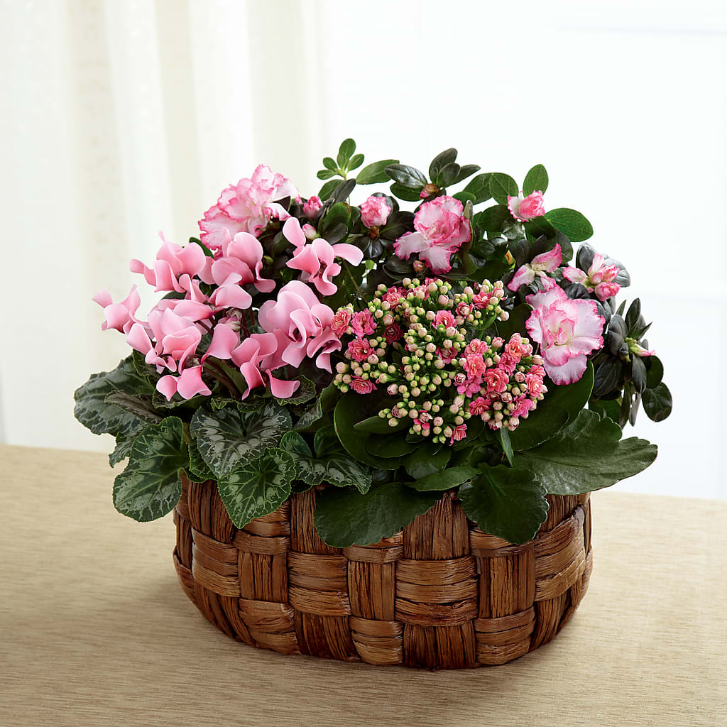 Pink Assortment – ETHEL'S THIS AND THAT, Galeton PA