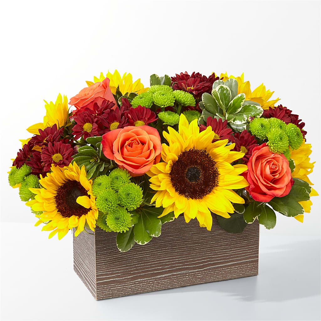 Happy Harvest Garden – ETHEL'S THIS AND THAT, Galeton PA