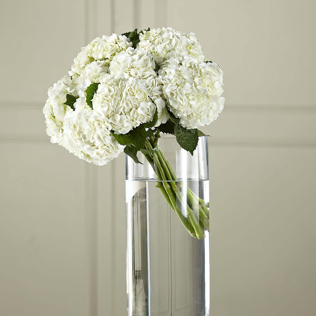 White Hydrangea Hand-Tied Bouquet – ETHEL'S THIS AND THAT, Galeton PA