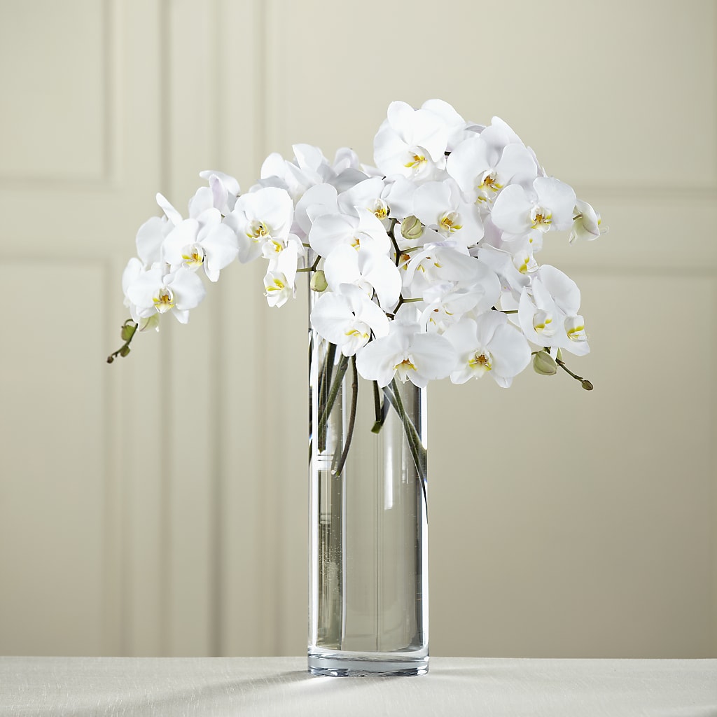 White Phalaenopsis Bouquet – ETHEL'S THIS AND THAT, Galeton PA