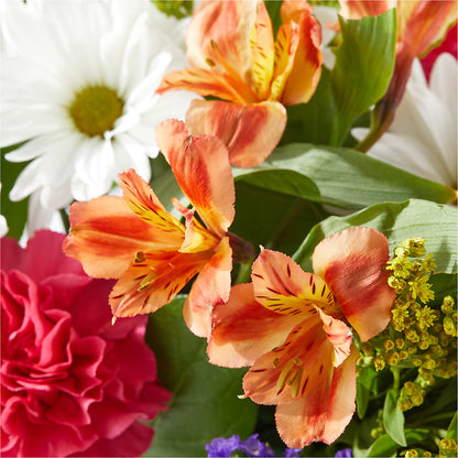 Oopsie Daisy Box Bouquet – ETHEL'S THIS AND THAT, Galeton PA