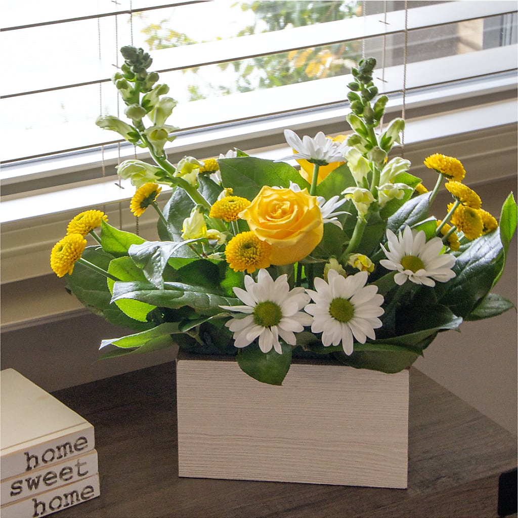 Sun Salutation Box Bouquet – ETHEL'S THIS AND THAT, Galeton PA