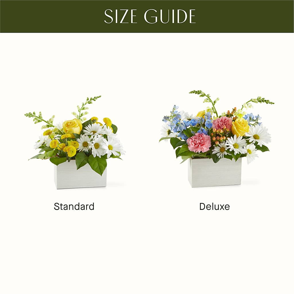 Sun Salutation Box Bouquet – ETHEL'S THIS AND THAT, Galeton PA