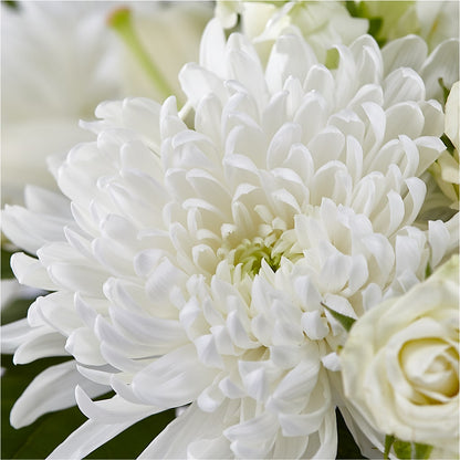 Classic Ivory – A Florist Original – ETHEL'S THIS AND THAT, Galeton PA